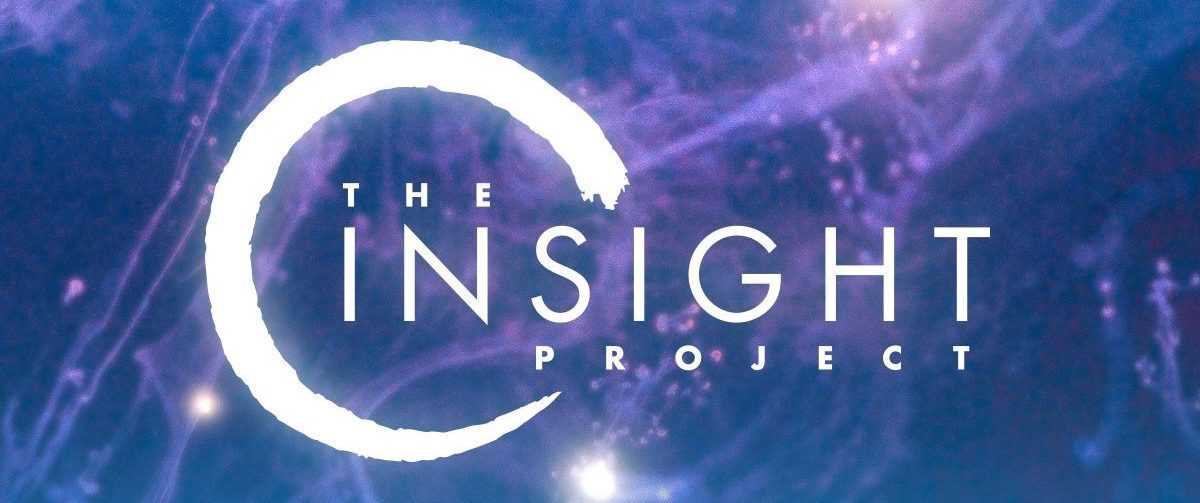 Examining The Insight Project, a mental health resource born out of video game development